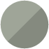 Silver Spruce